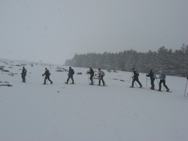 raquetas de nieve.jpg